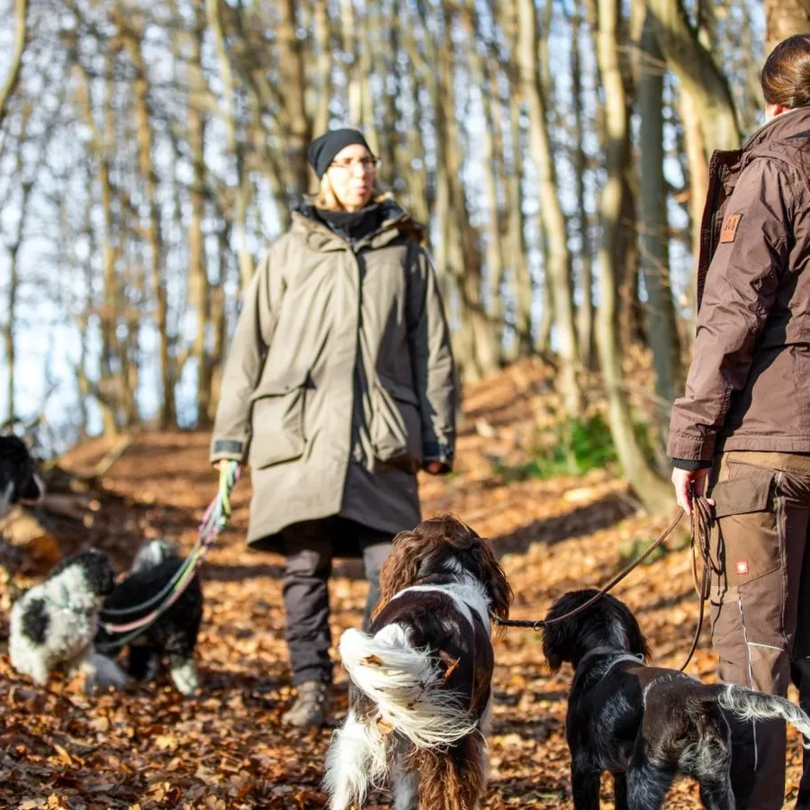 Hundetraining im Nordharz – Angebote der V&E Hundeschule